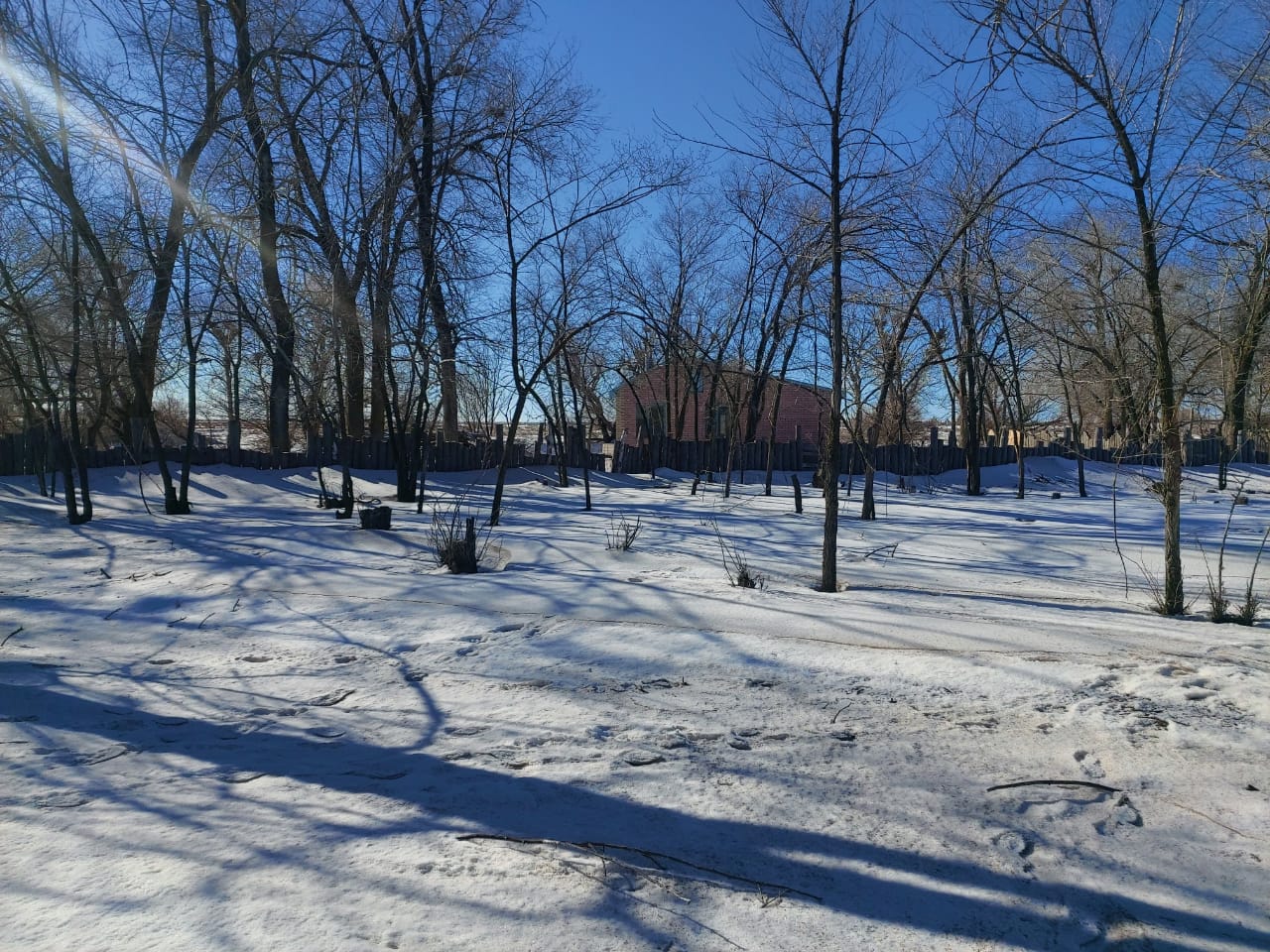 img-2