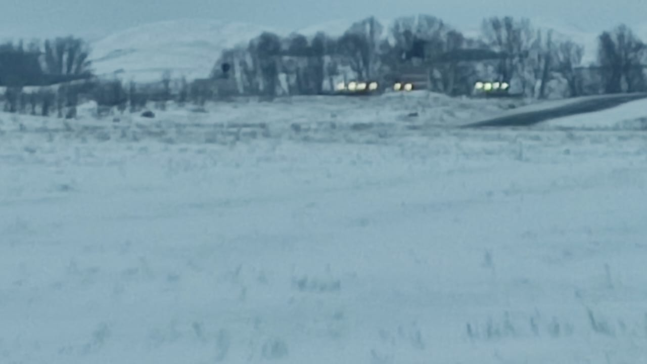 img-4
