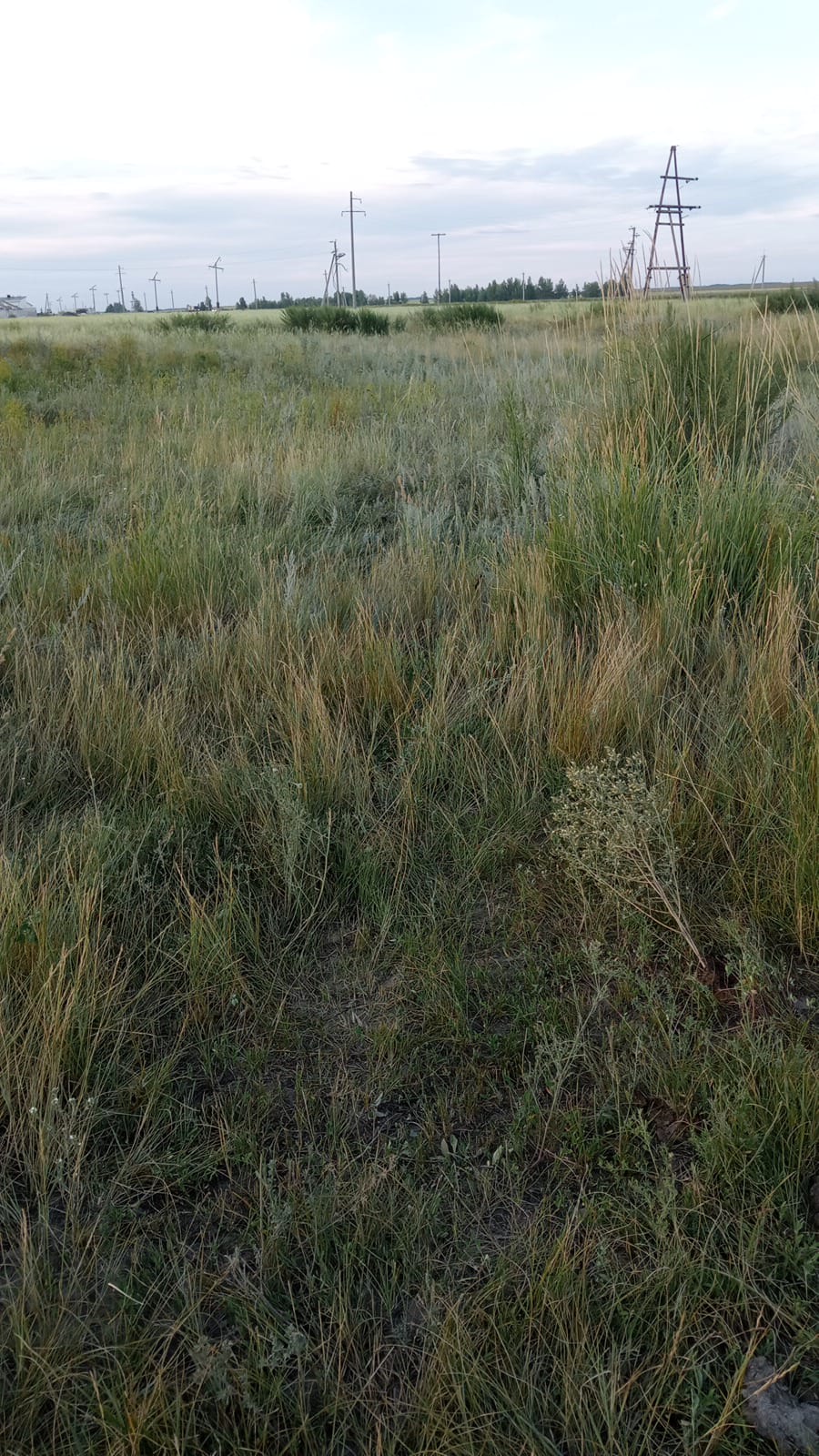 img-0