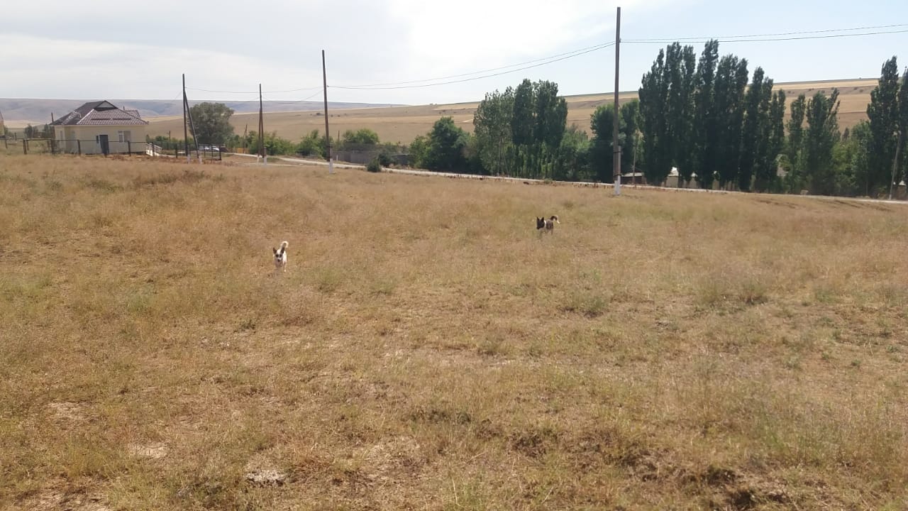 img-1