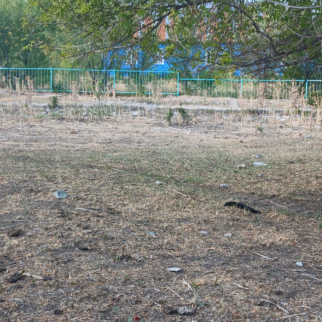 img-2
