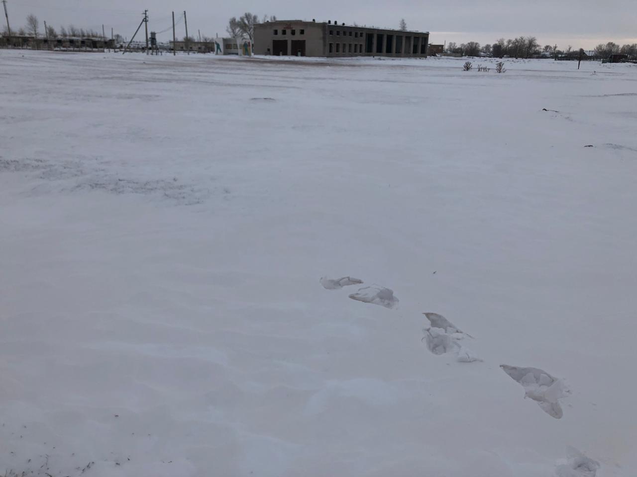 img-4