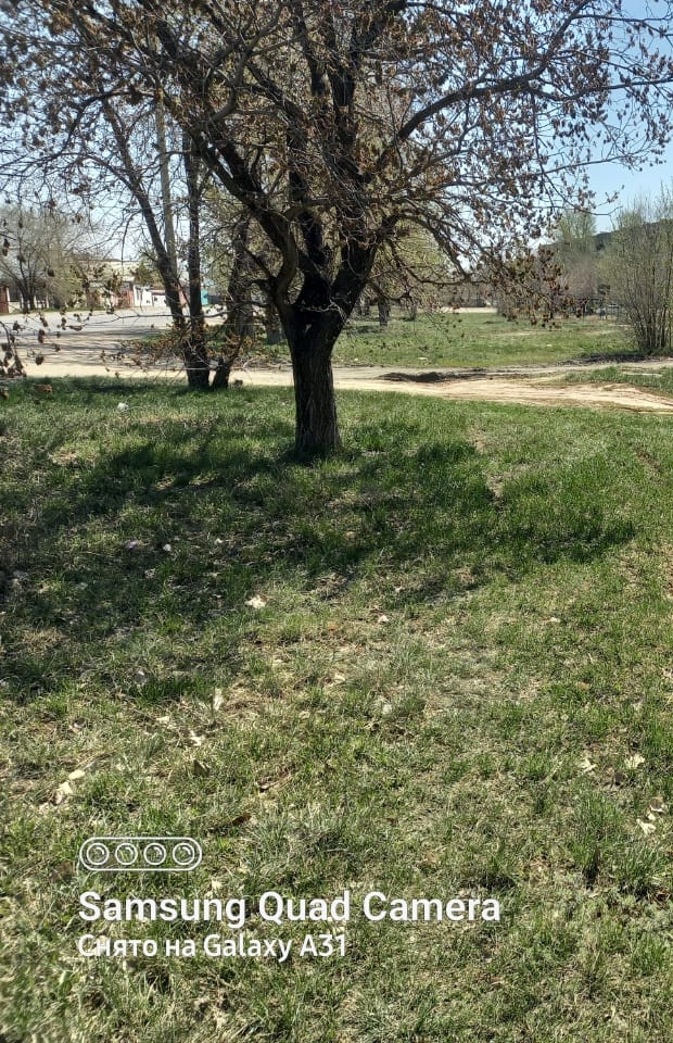 img-0