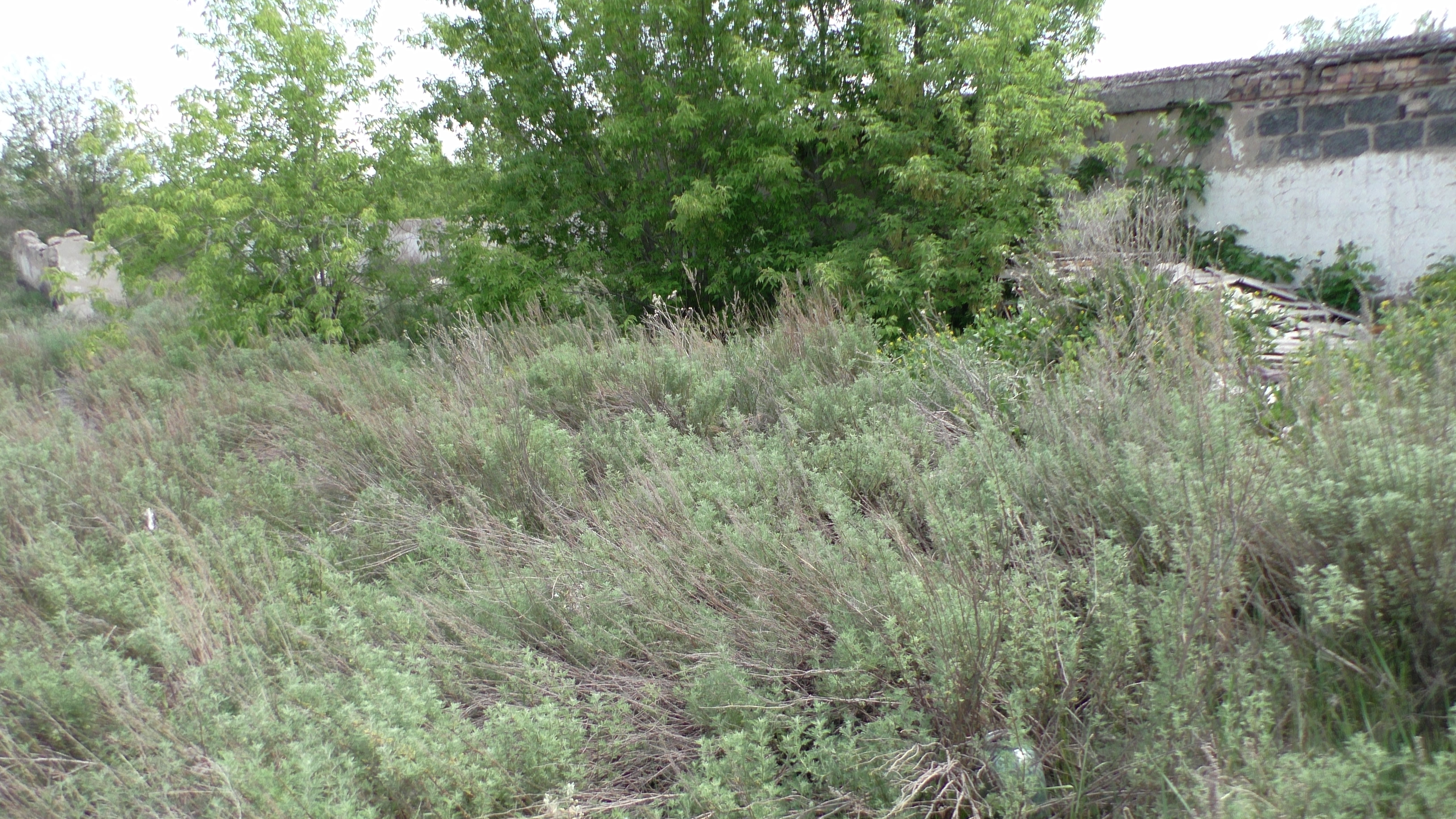 img-3