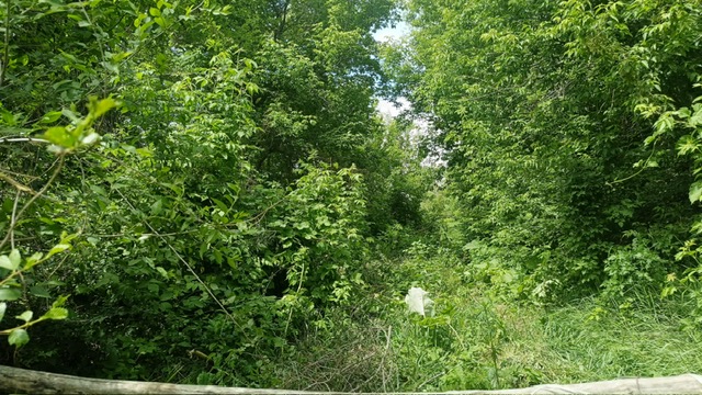 img-0