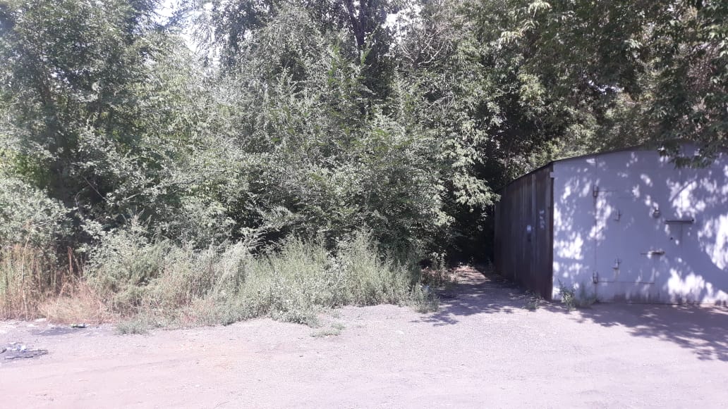 img-1