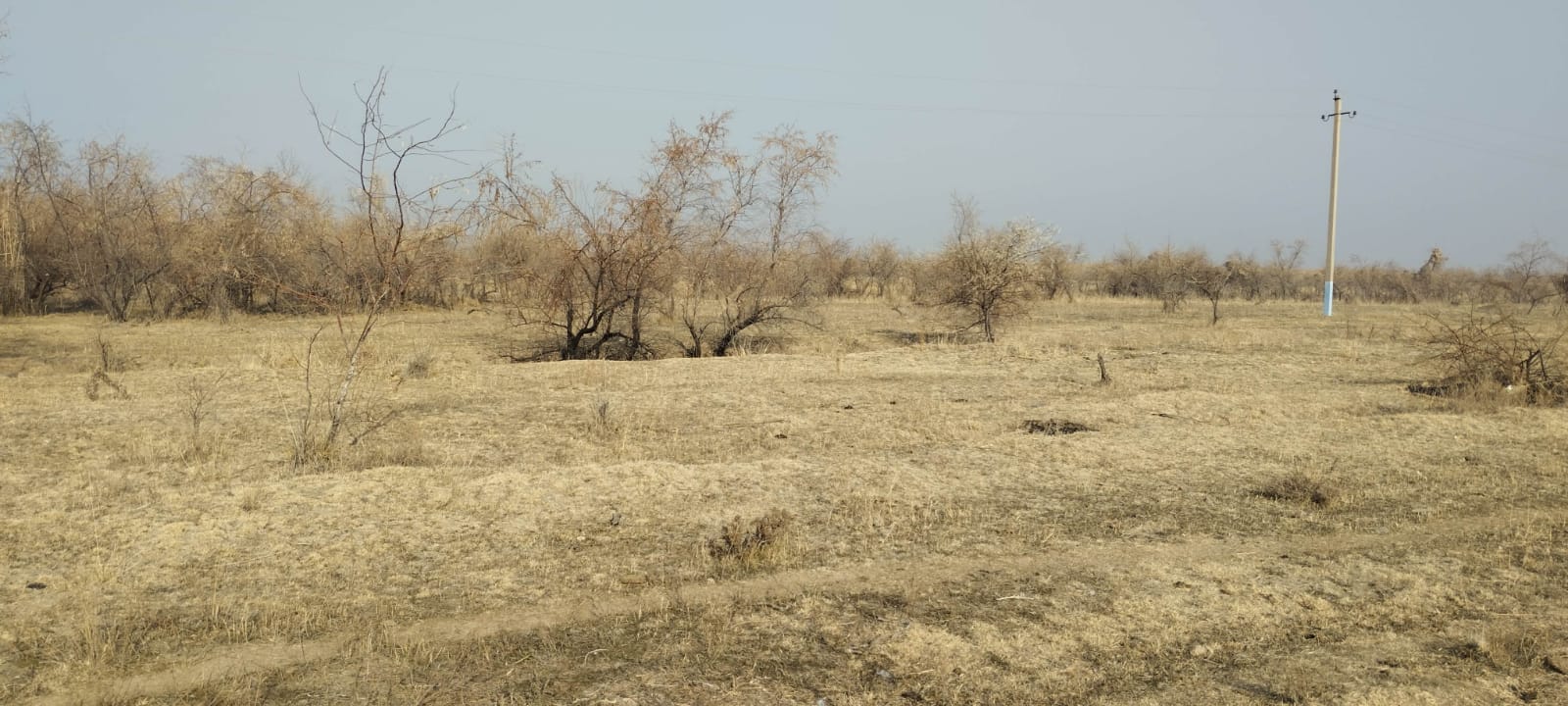 img-3