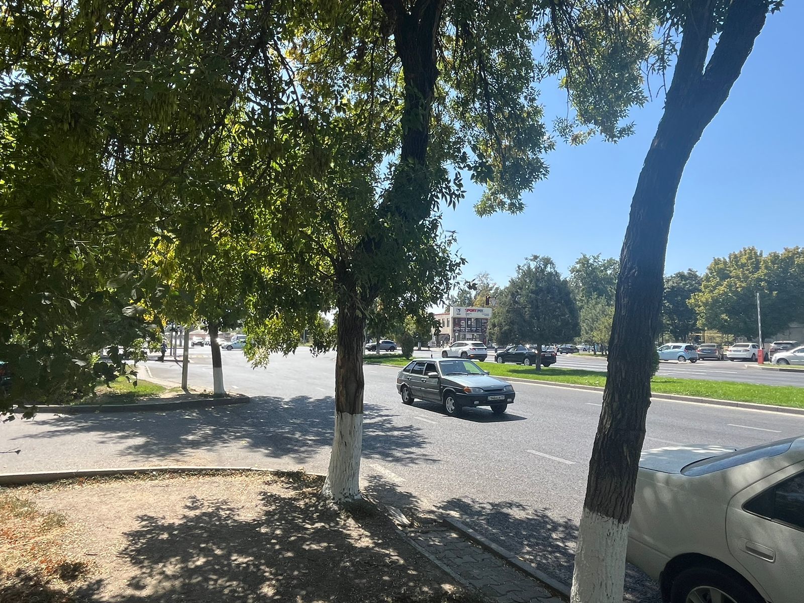 img-2