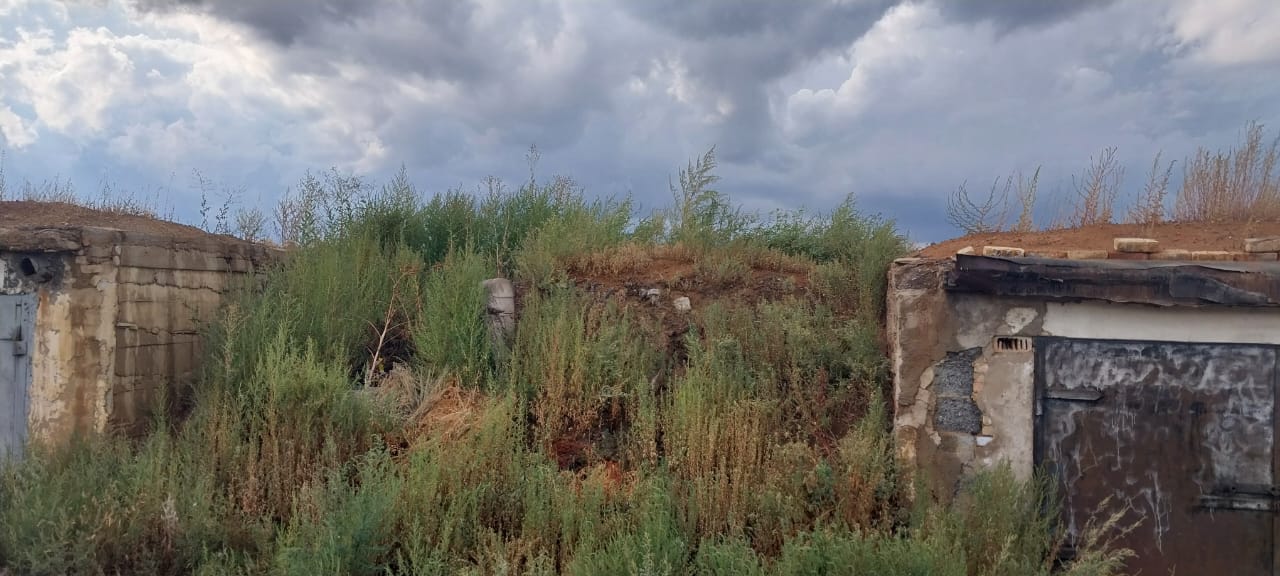 img-1