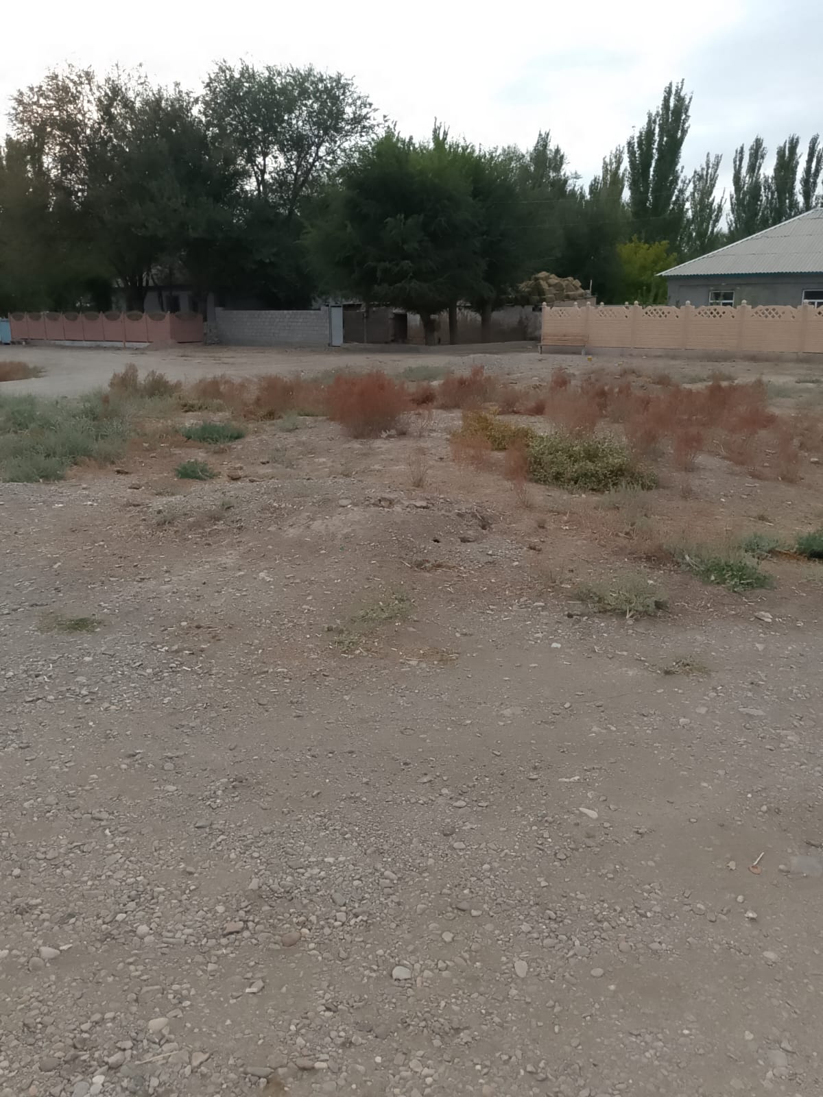 img-2