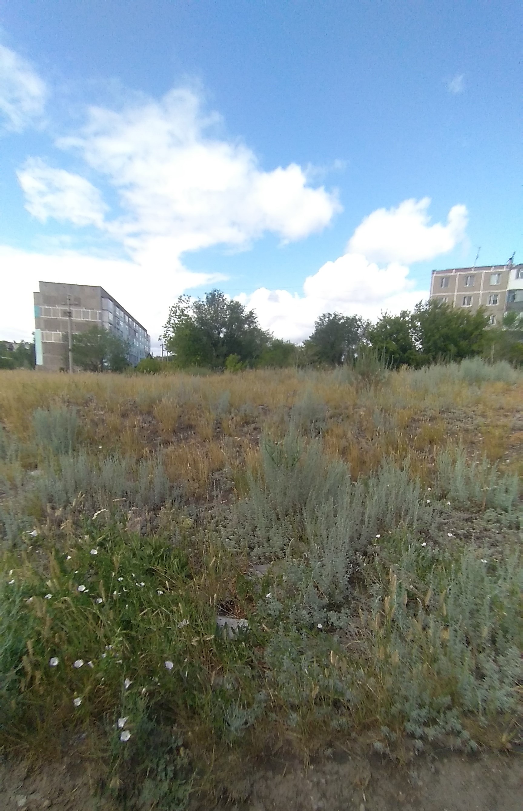 img-3