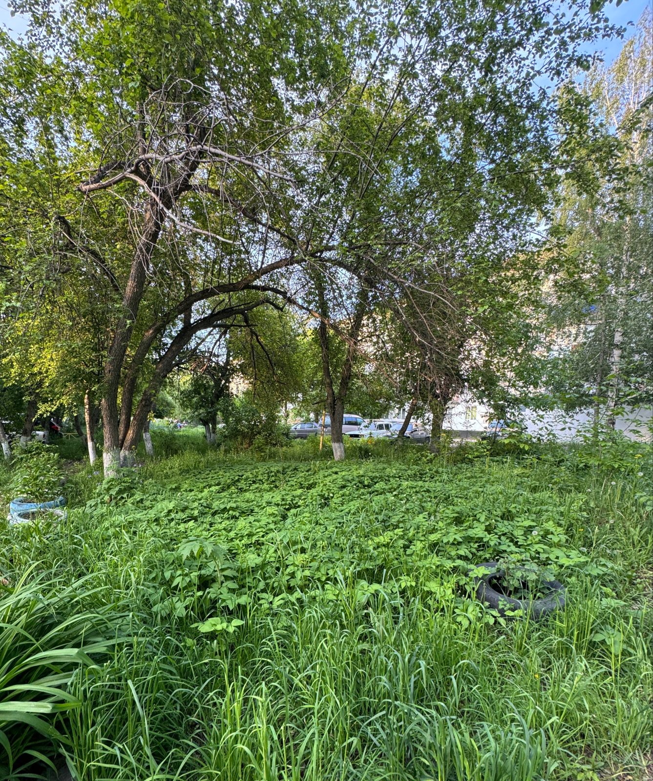 img-2