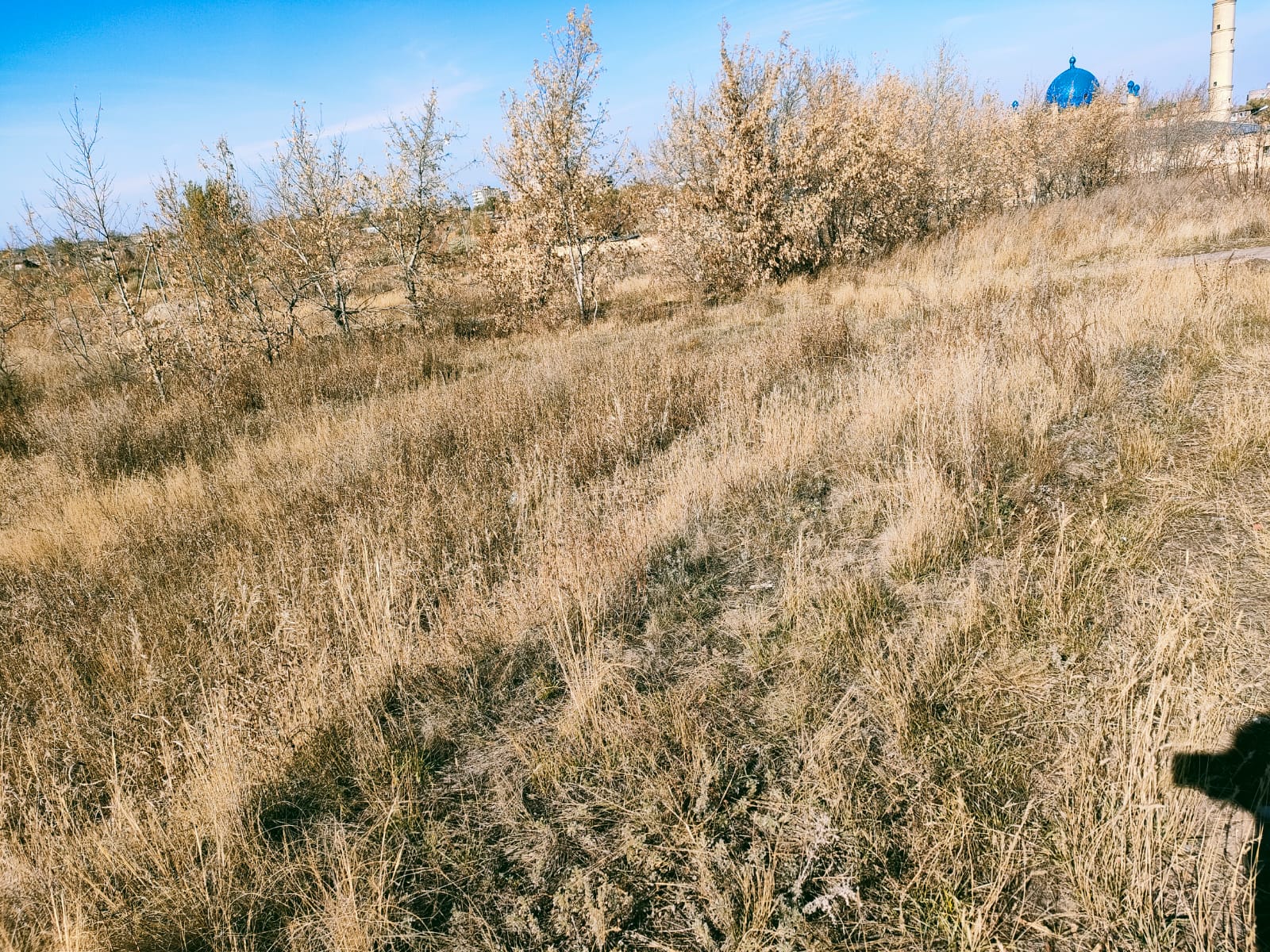 img-4
