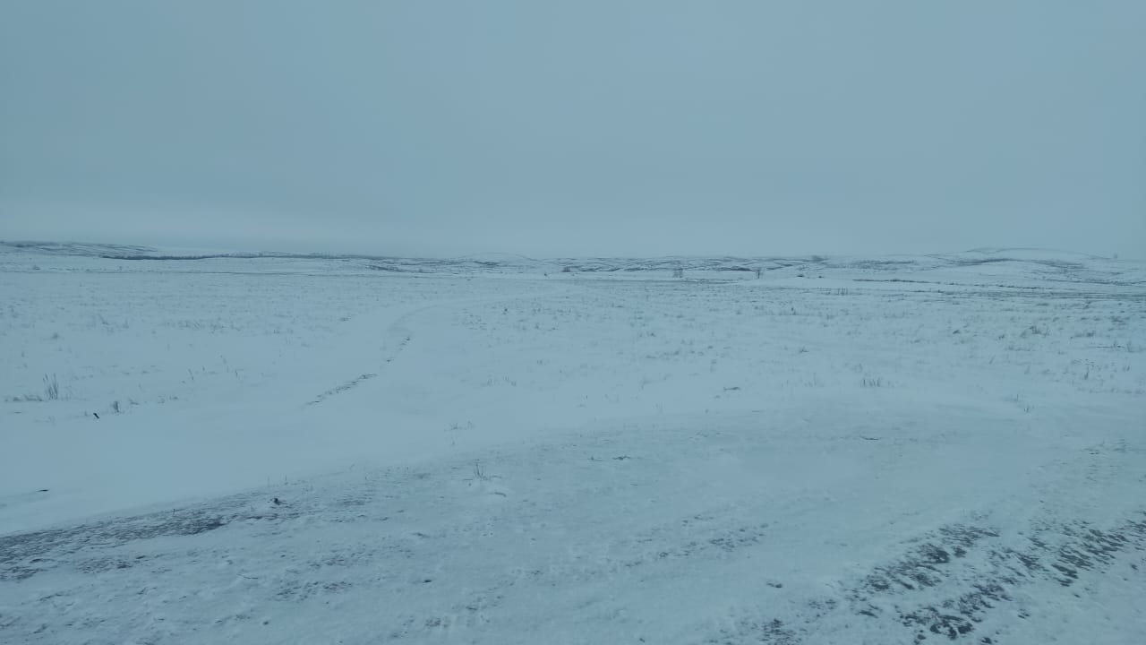 img-0