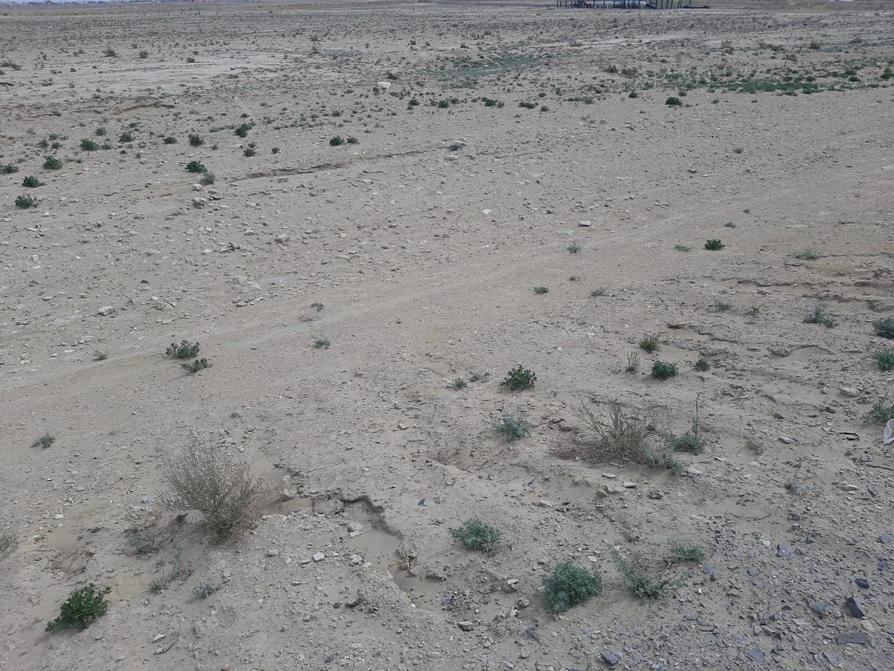 img-3