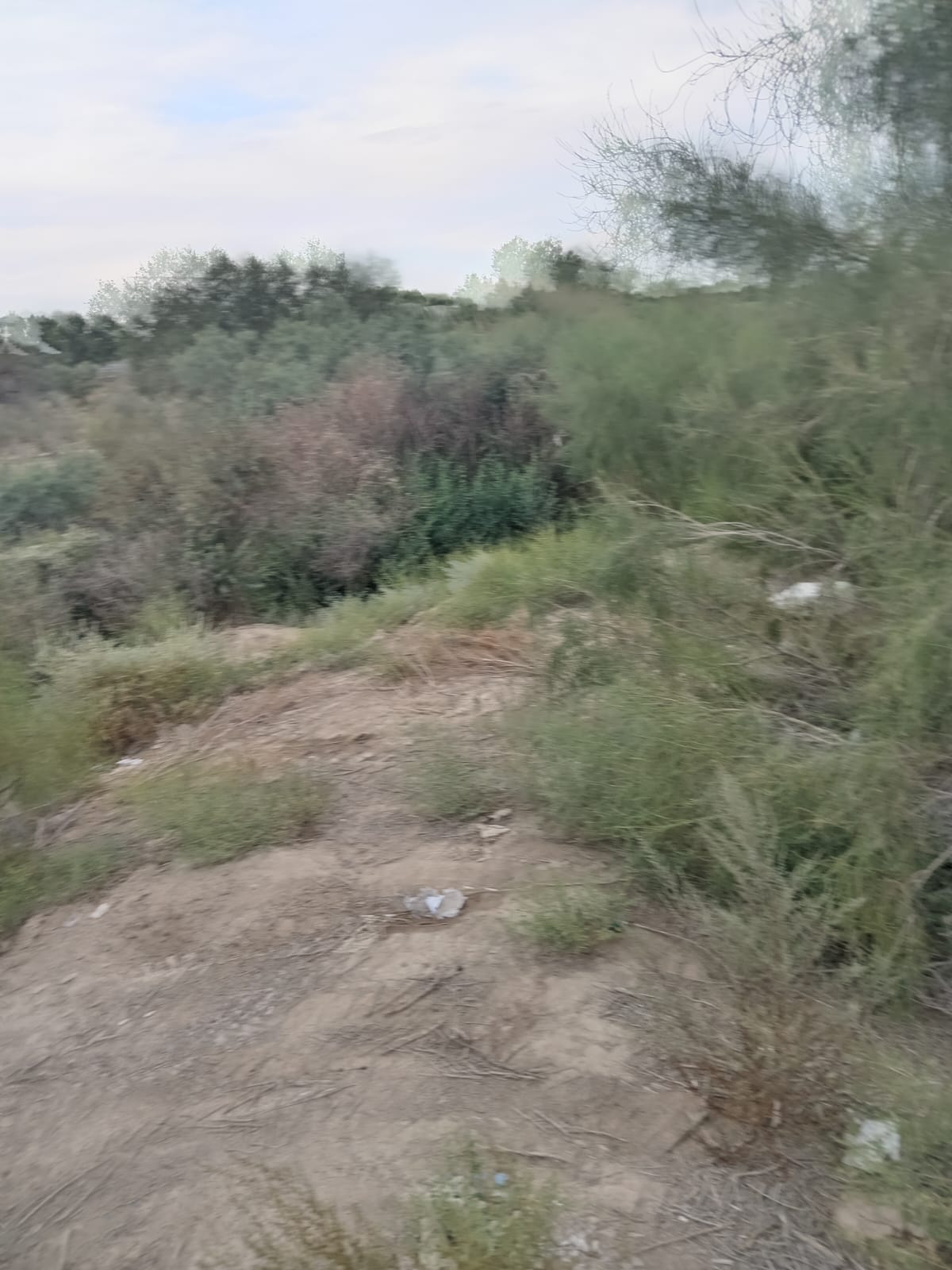 img-0