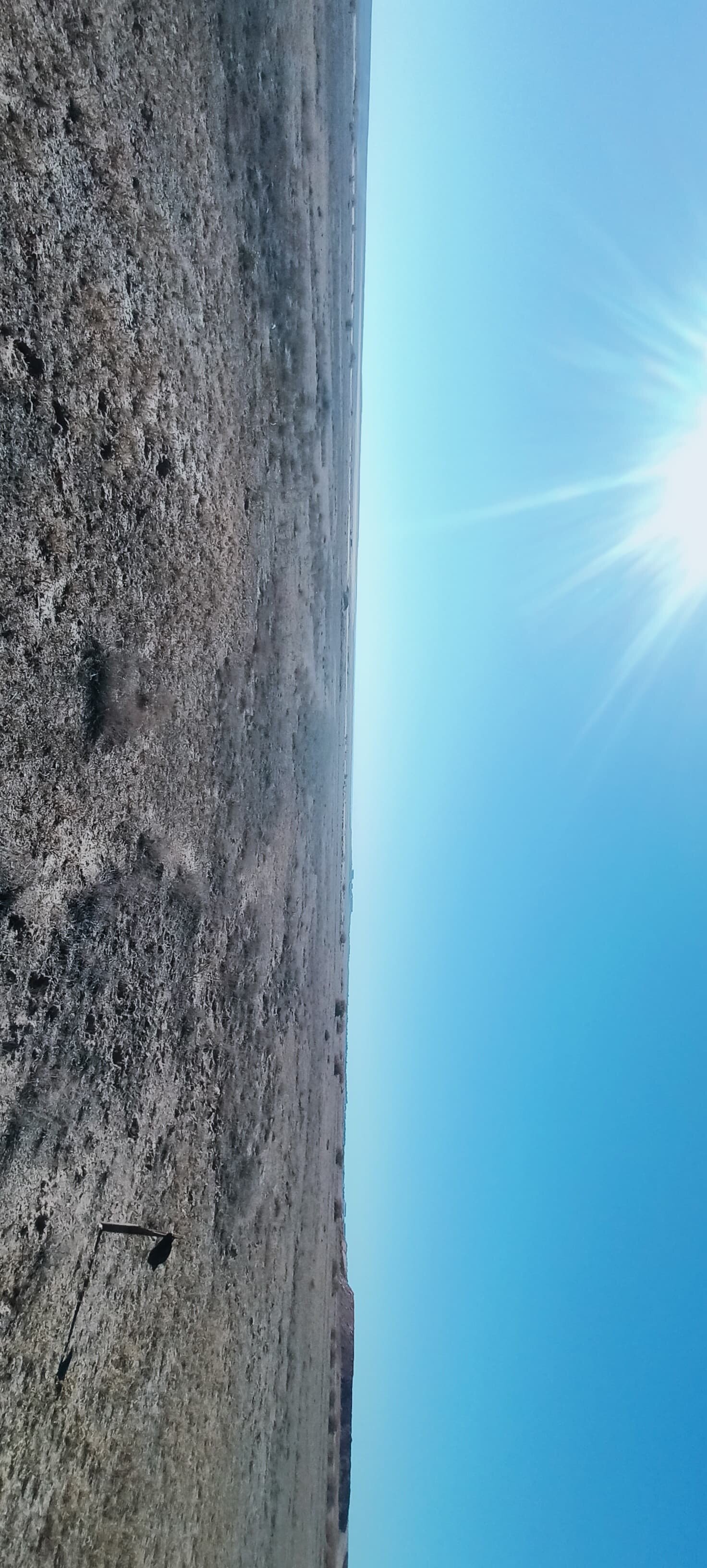 img-1