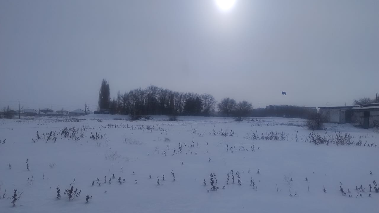 img-1