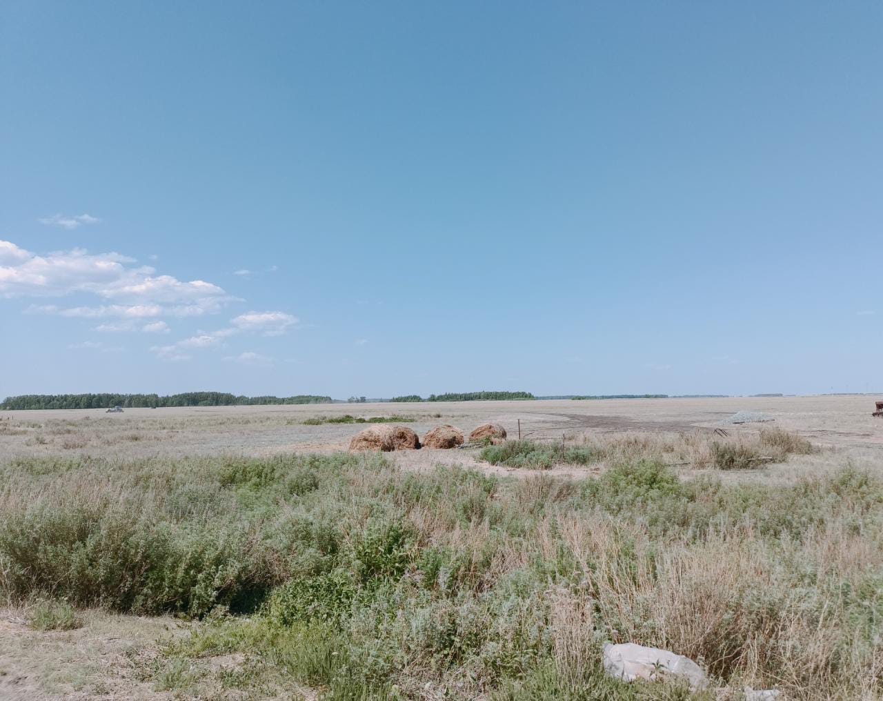 img-0
