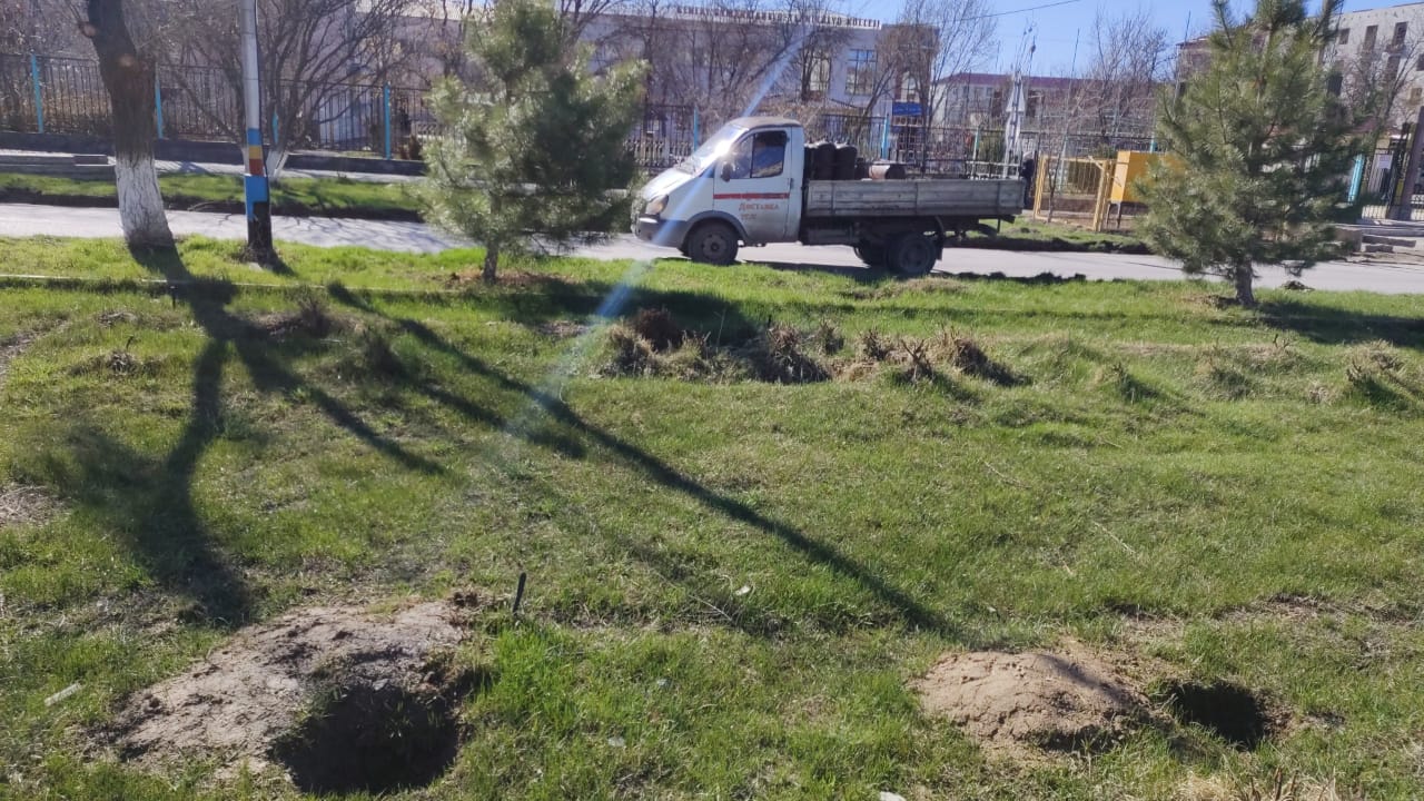 img-3