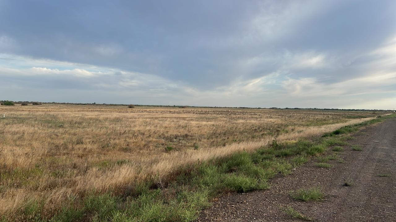 img-3