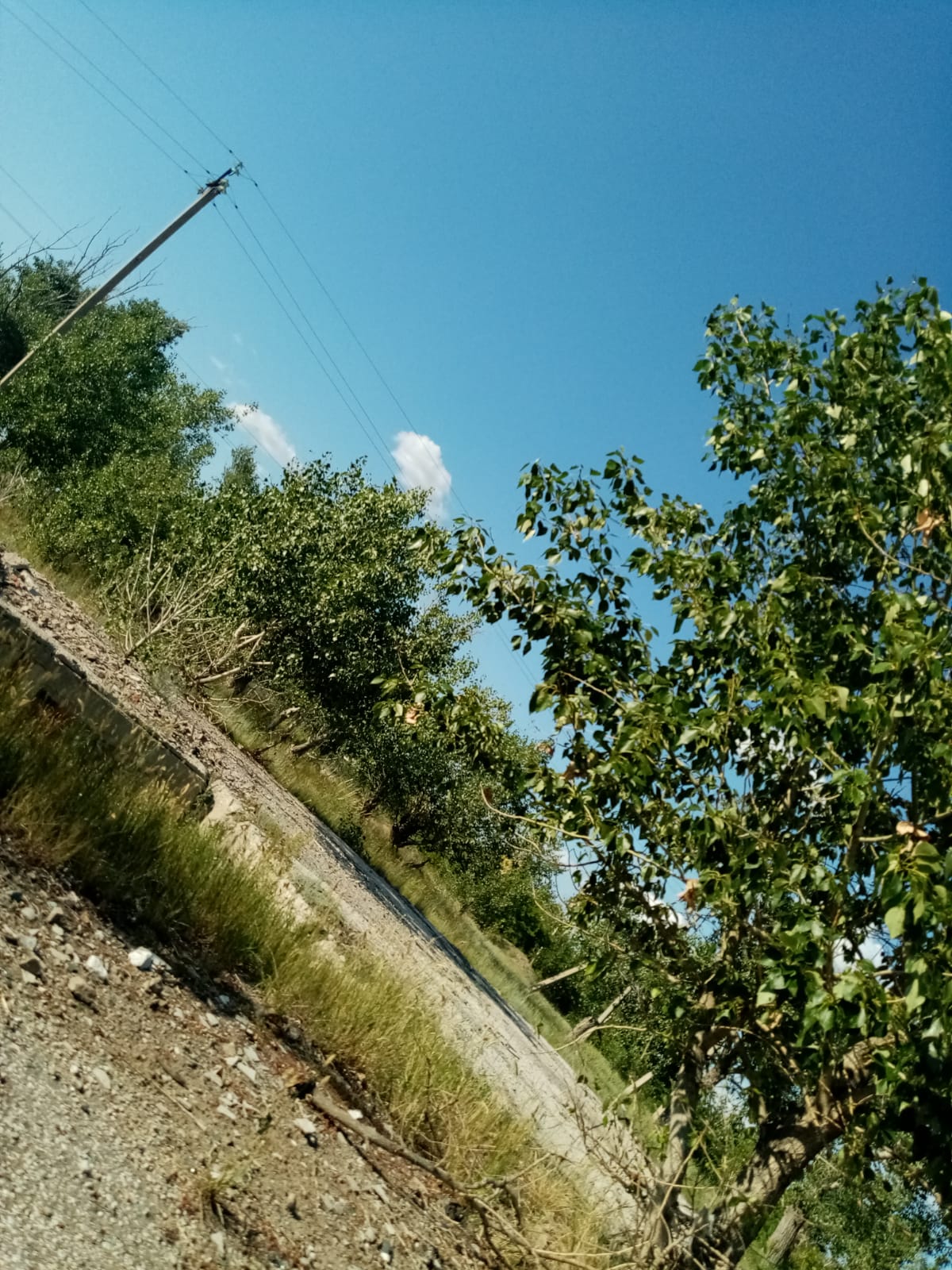 img-1