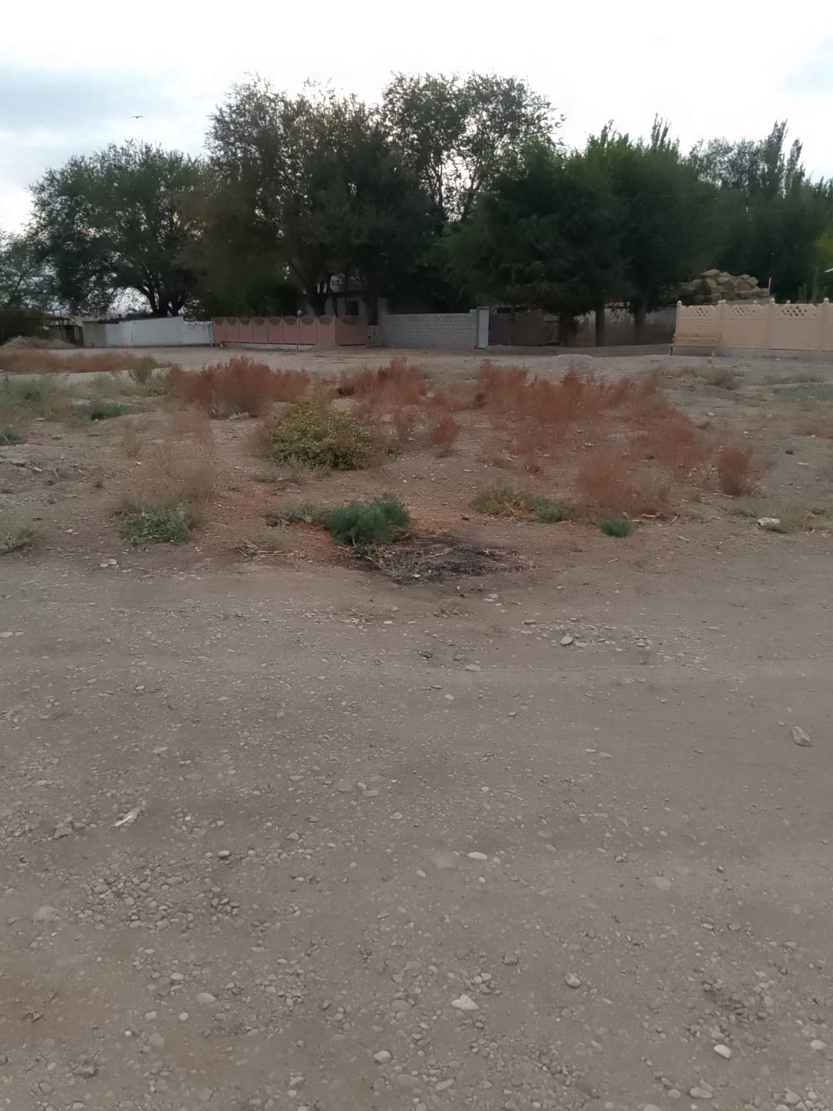 img-3