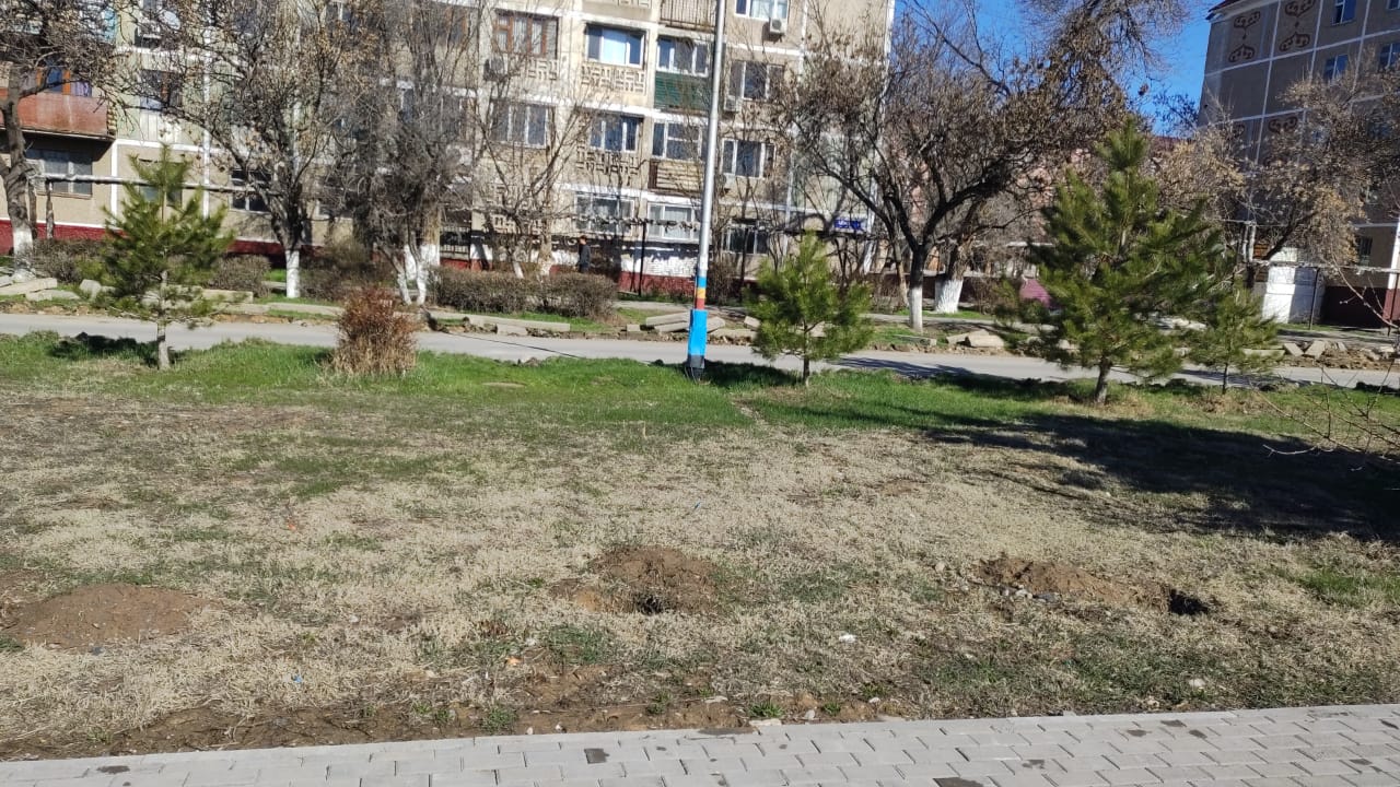 img-1