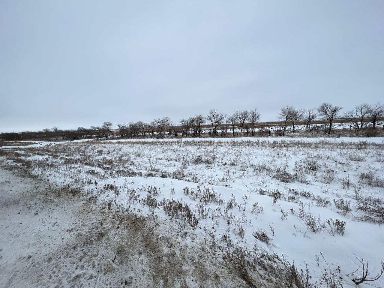 img-3