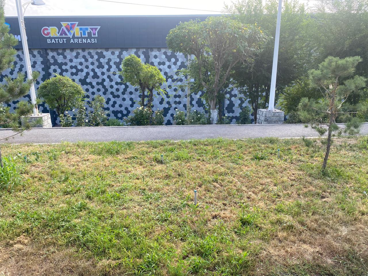 img-2