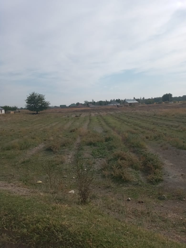 img-2