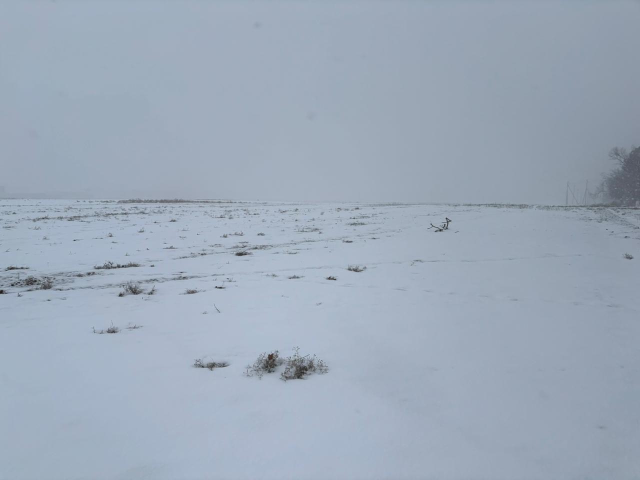img-2
