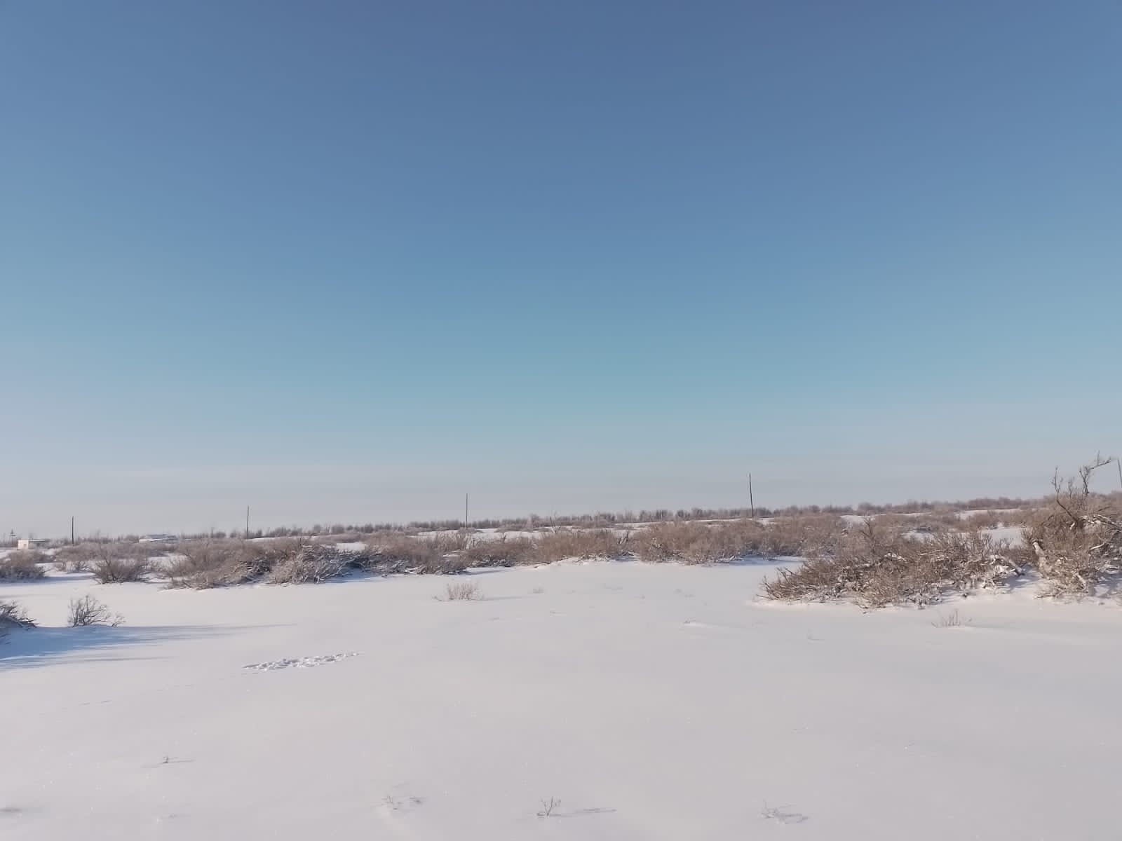 img-0