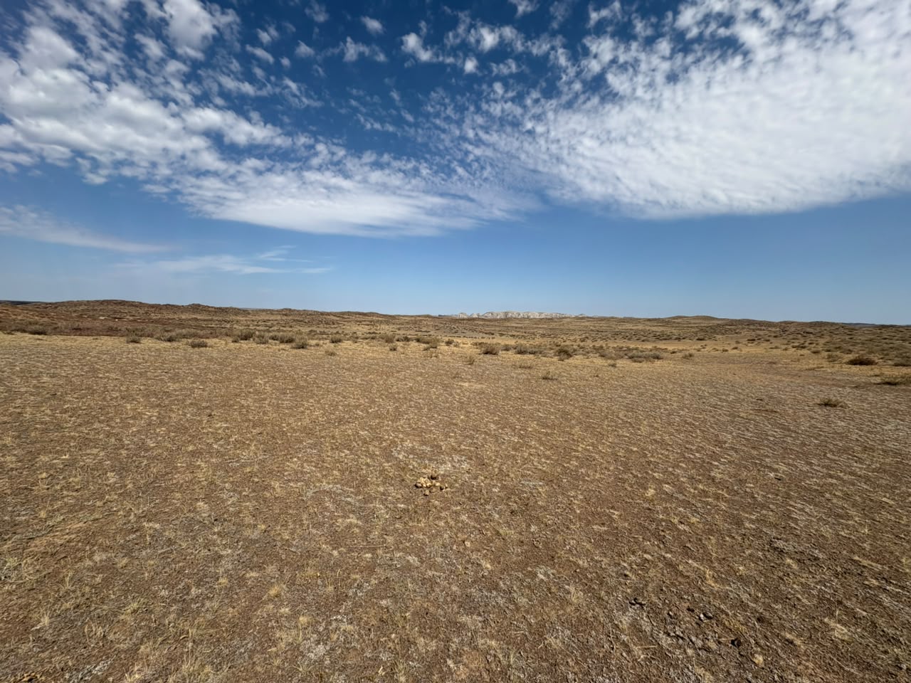 img-1