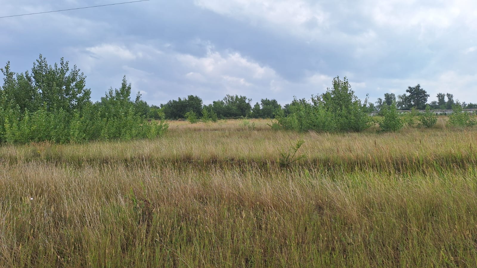 img-0