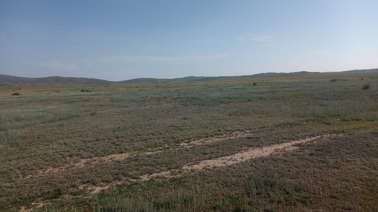 img-1