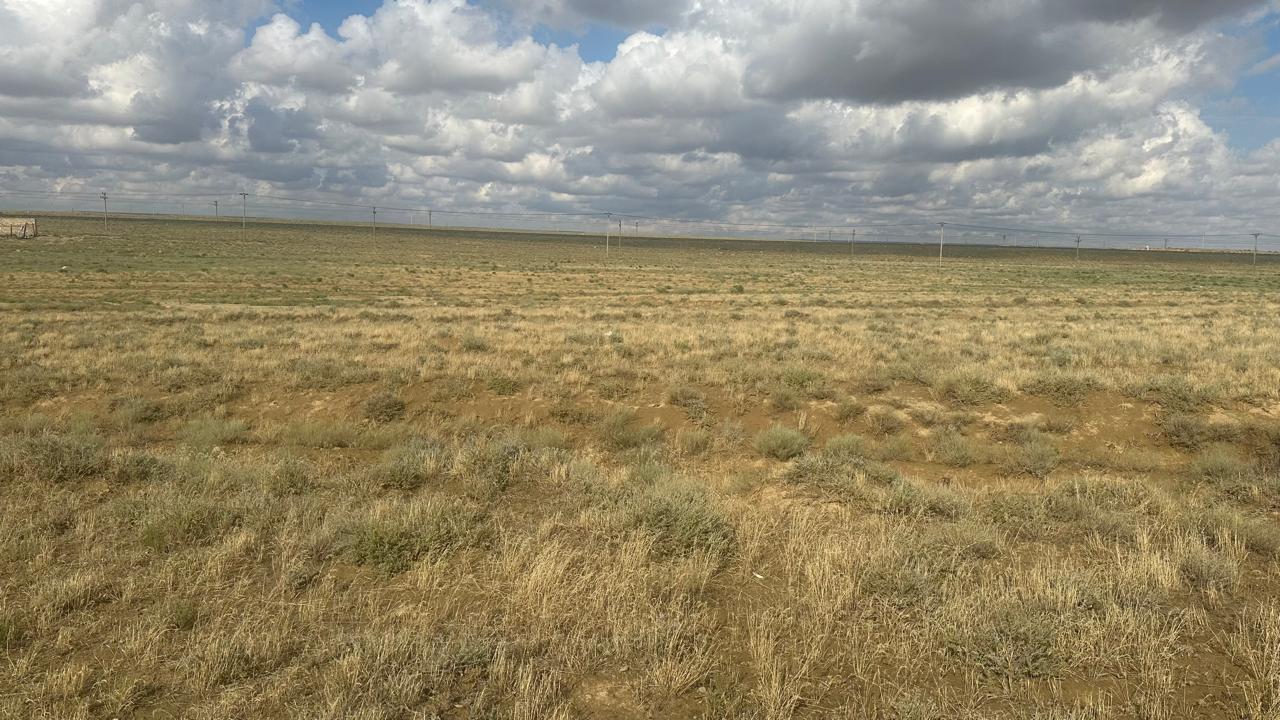 img-2