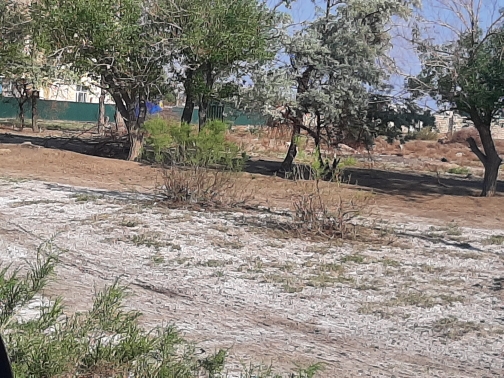 img-1