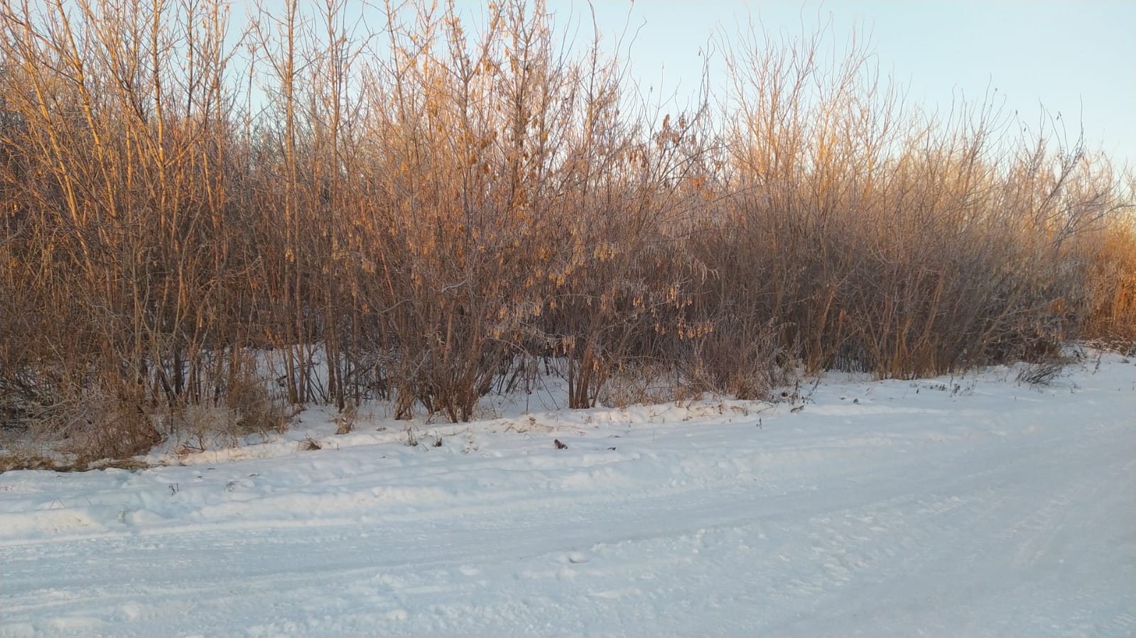 img-1