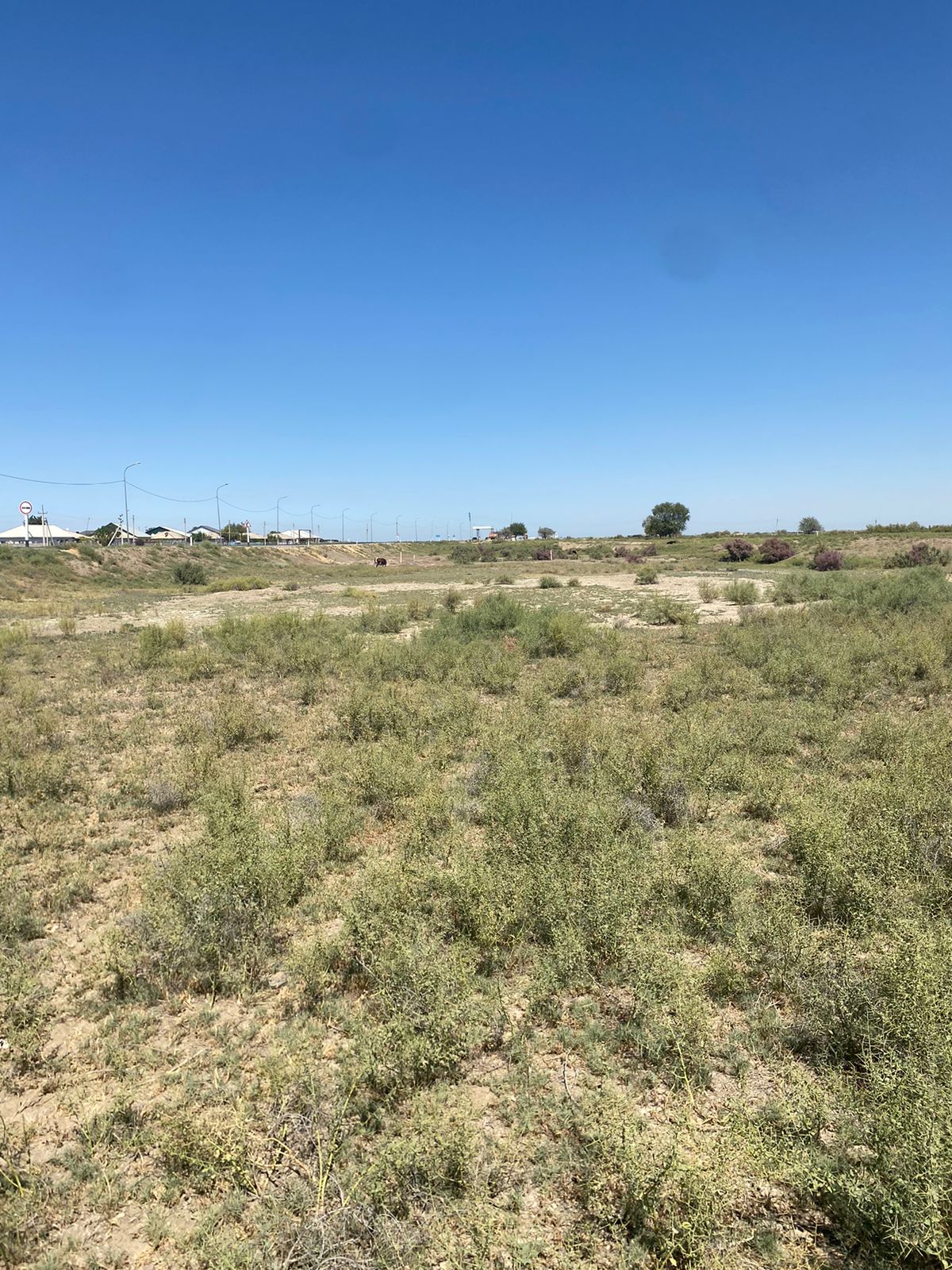 img-0