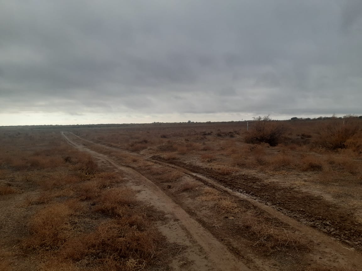 img-3