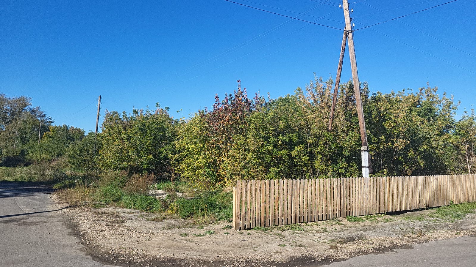 img-2