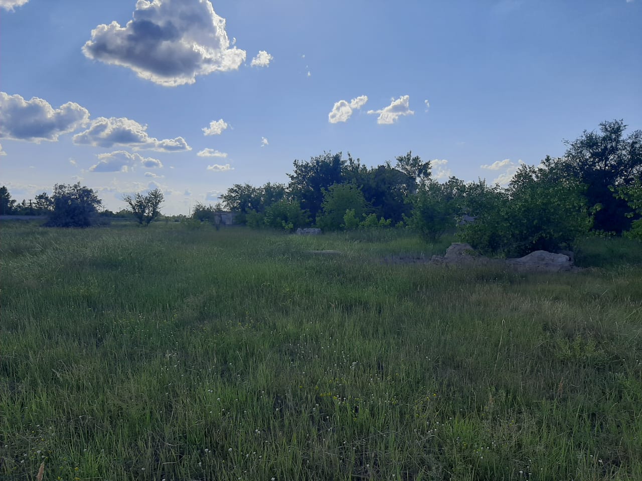 img-2