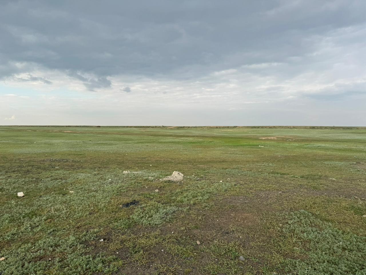 img-0