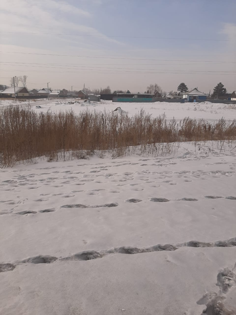 img-2