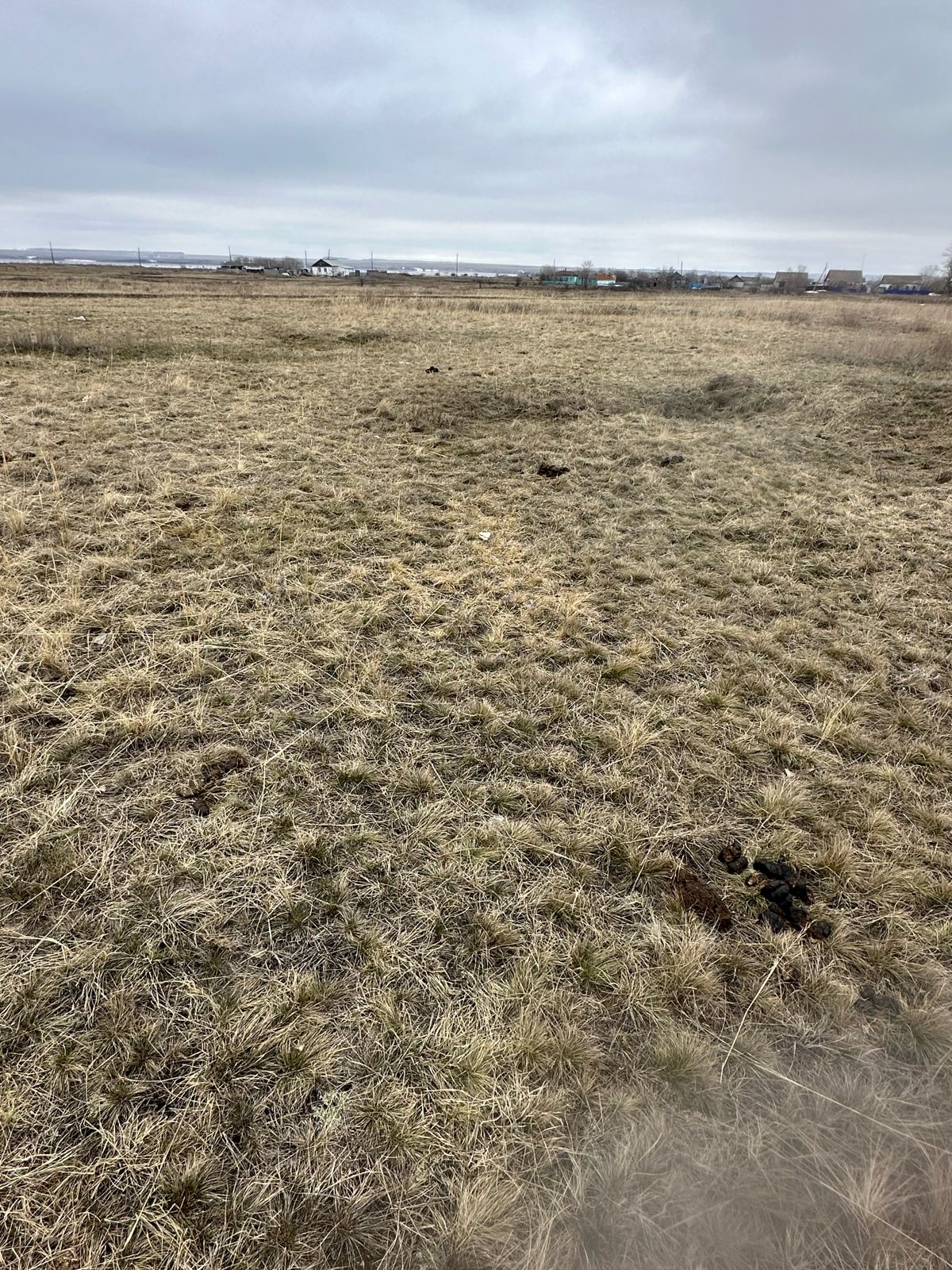 img-3