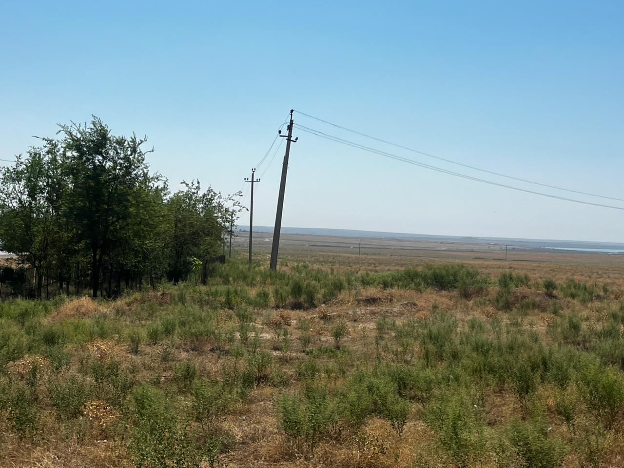 img-4