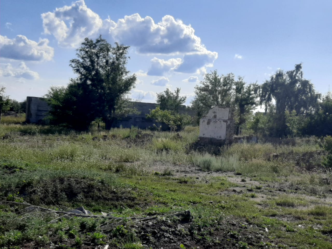 img-3