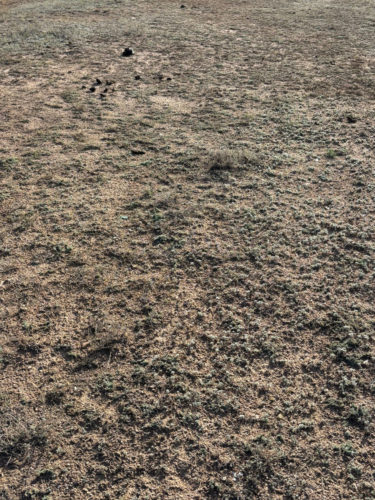 img-1