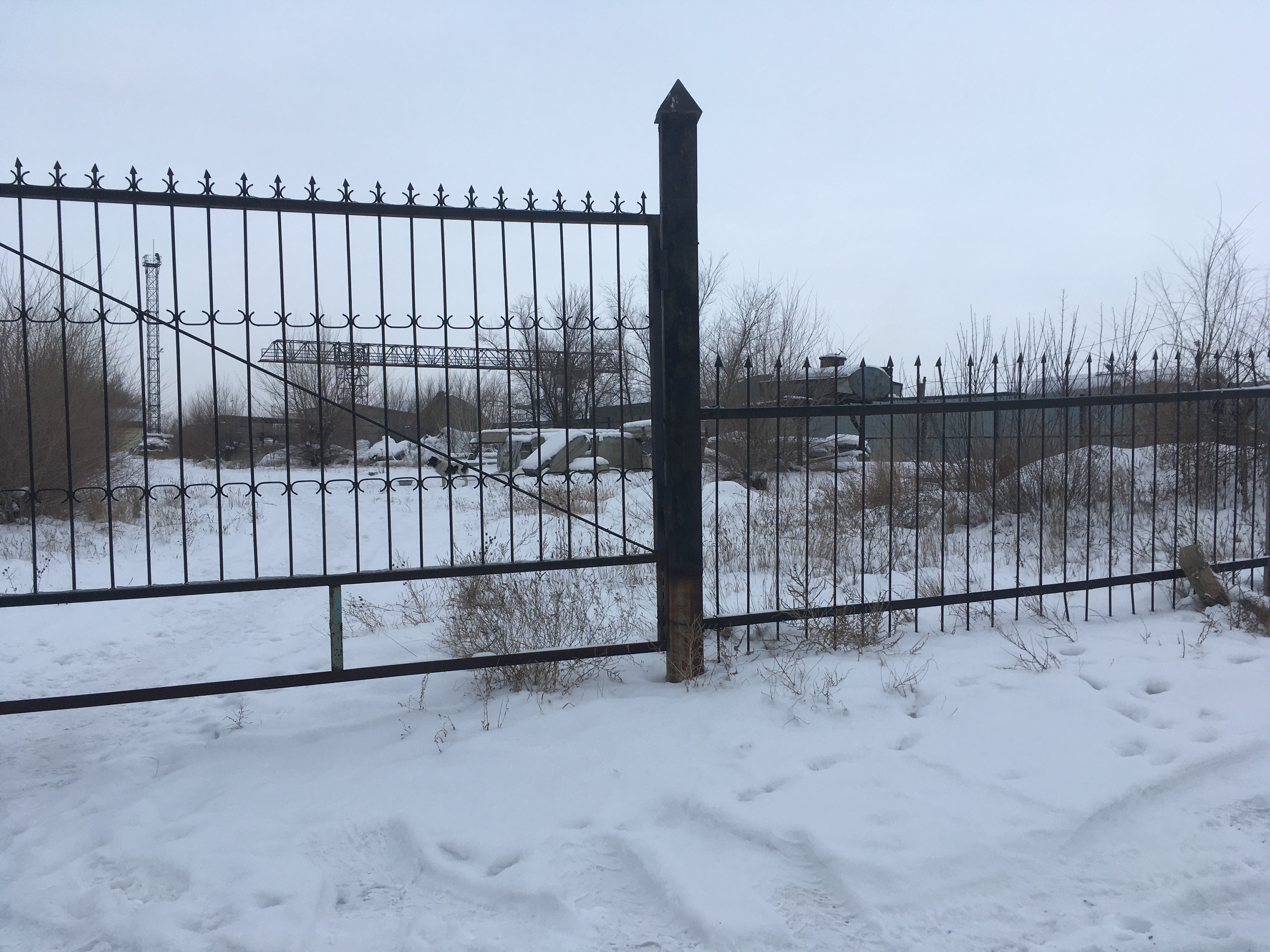 img-0